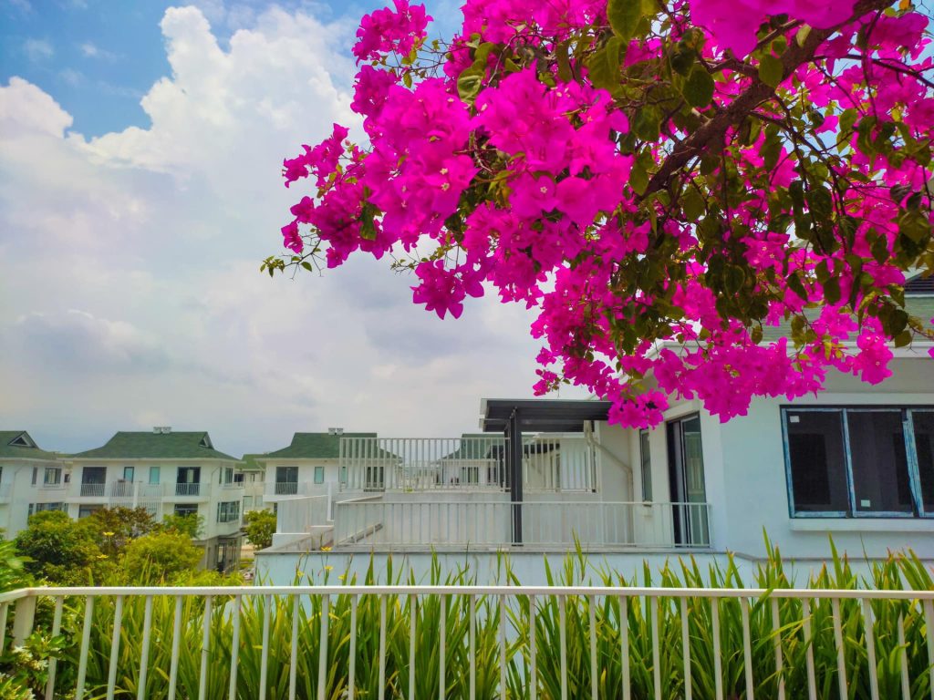 View ban công biệt thự Iris