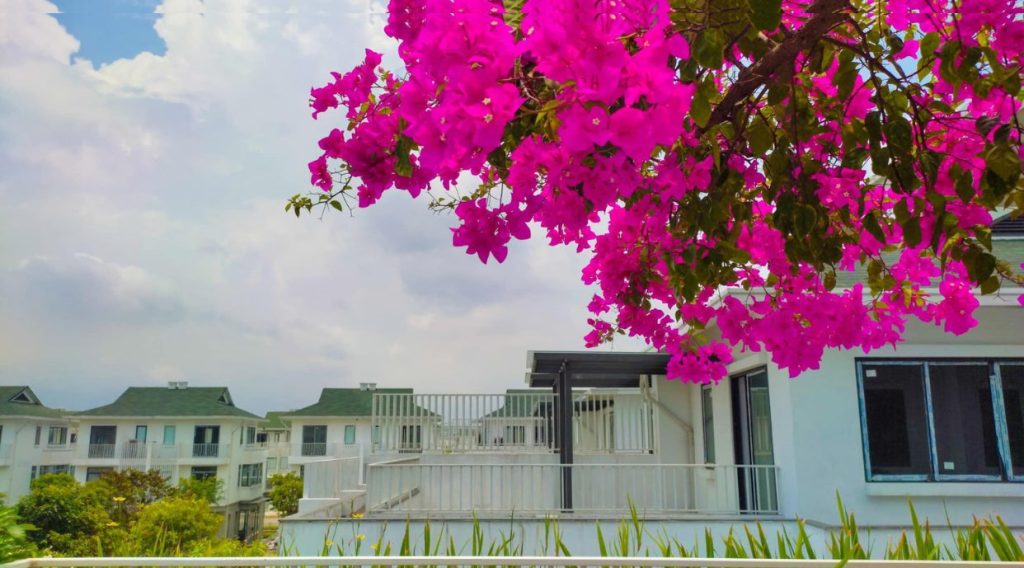 Hình ảnh thực tế khu Iris Eco Garden Huế 1